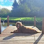 Holiday home With Private Pond, Jacuzzi And Sauna