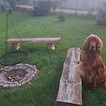 Holiday home With Private Pond, Jacuzzi And Sauna *